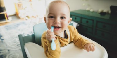 HiPP Gläschen und Babynahrung kaufen: Sorten und Tipps