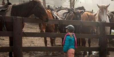 Therapeutisches Reiten gegen Entwicklungsstörungen